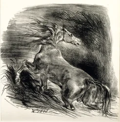 Cheval sauvage, 1828
